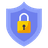 Security Shield Icon